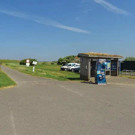 Amazing In Warwerort